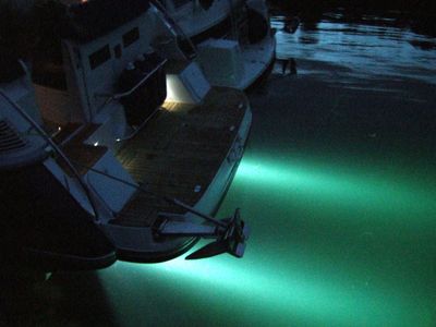 Undervannslys LED, 12/24V